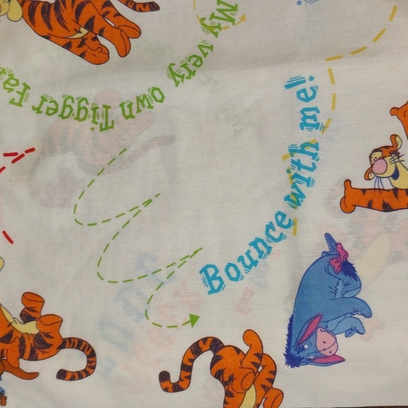 π° Disney Fabric Handmade Pillow Covering 19 X 19 Let the Bouncin' Begin! - Picture 4 of 16